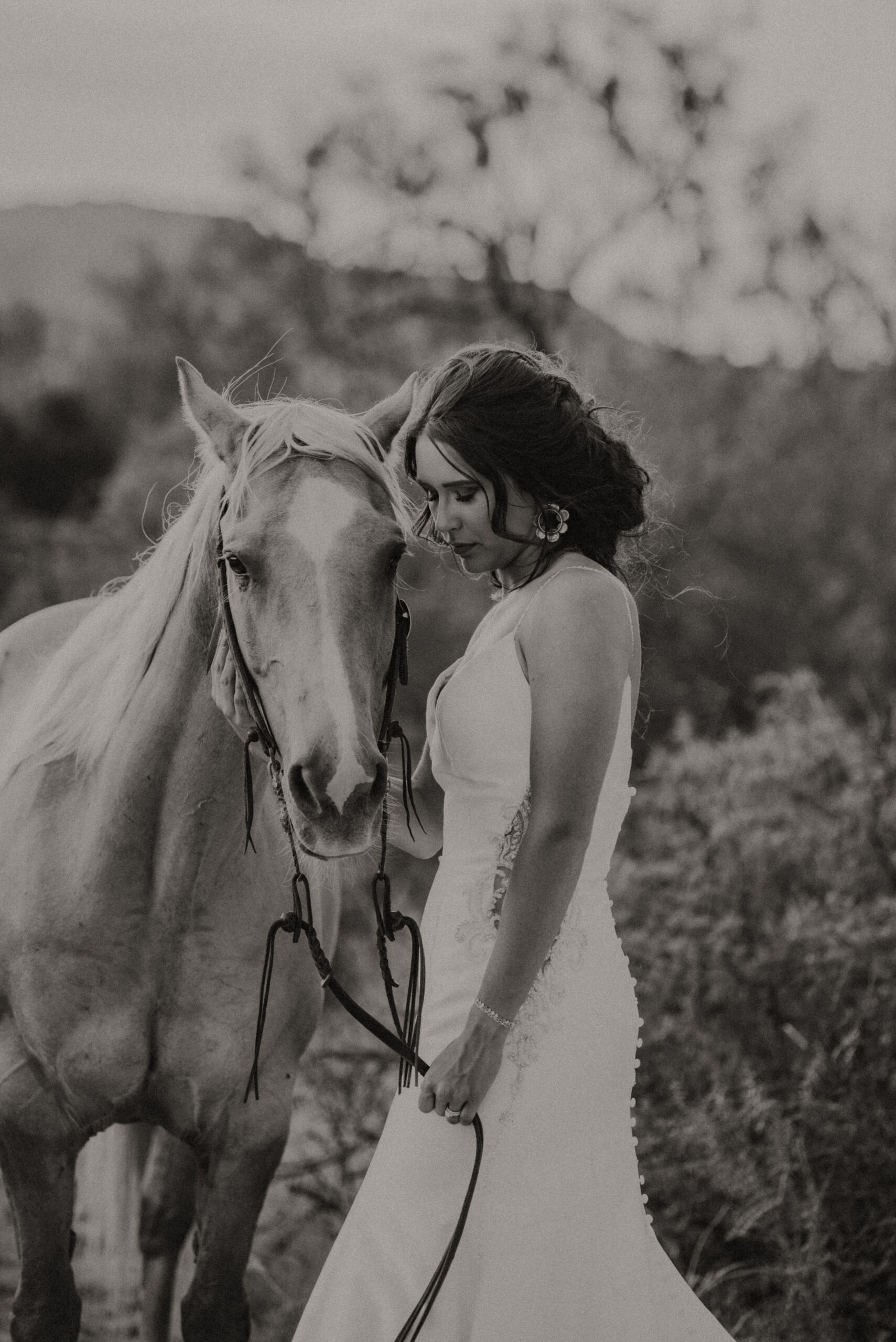 black and white bridal photos with bride holding horses face while looking down and posing for bridal photos, texas wedding photographer, destination wedding photos, and bridal portraits